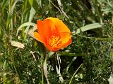 Russian Ridge 10